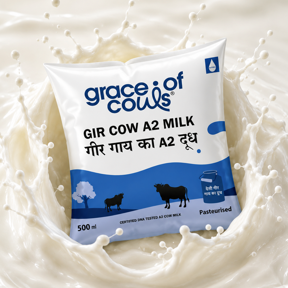 A2 milk in Pune, DNA-tested Gir cow milk by Grace of Cows