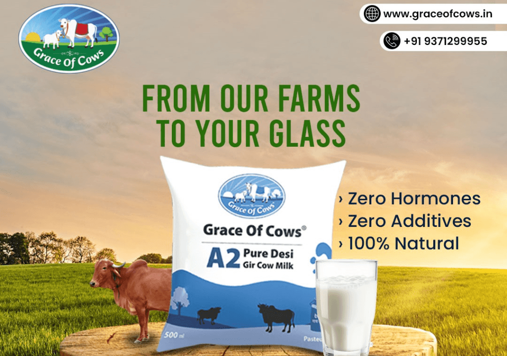 A2 Gir Cow Milk