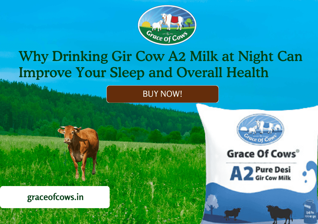 Gir Cow A2 Milk