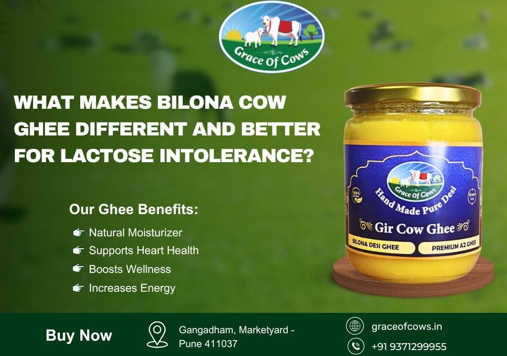 Bilona Cow Ghee Pune