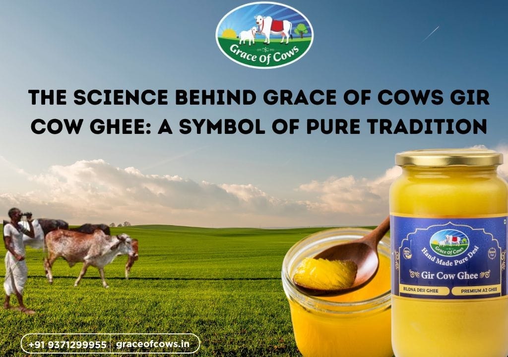Desi Gir Cow Ghee Pune