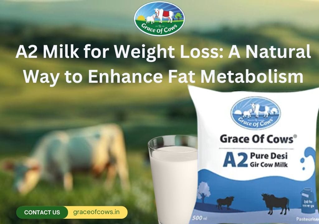 A2 Gir Cow Milk