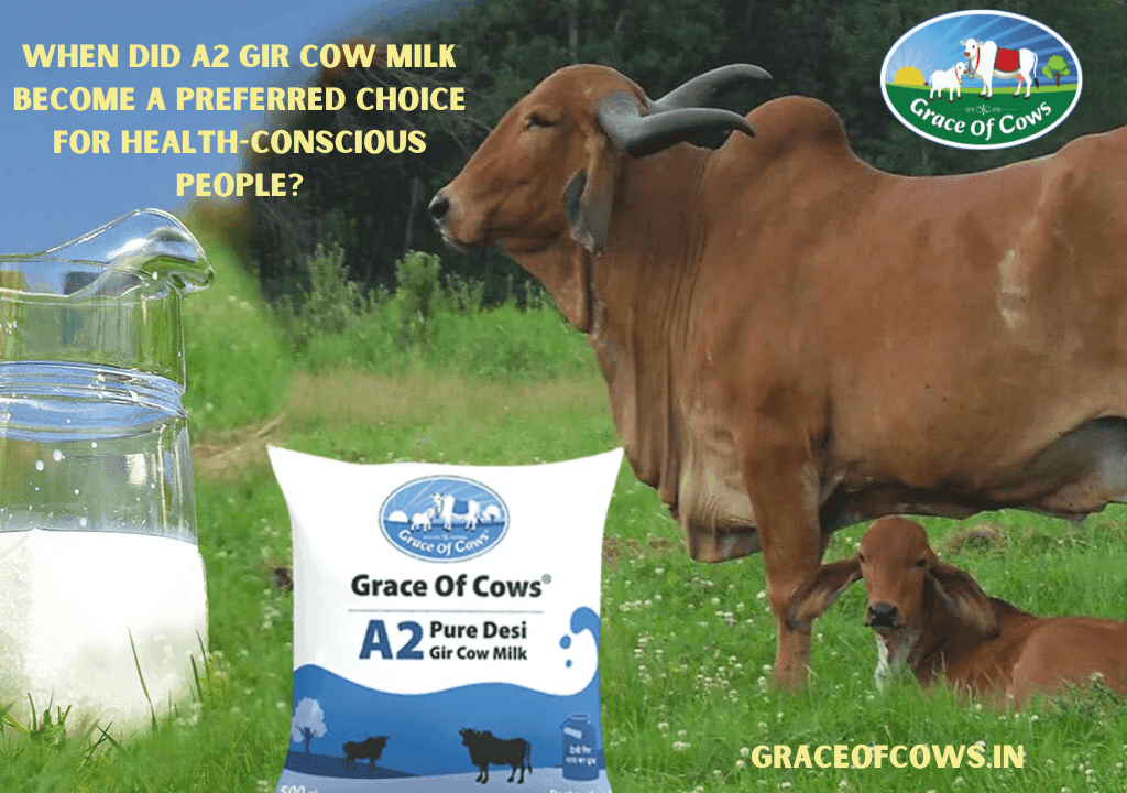 Gir cow Milk Suppliers in India