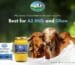 gir cow ghee