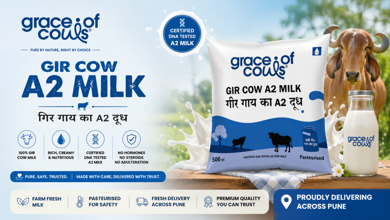 Grace of Cows Gir cow A2 milk, best A2 milk in Pune