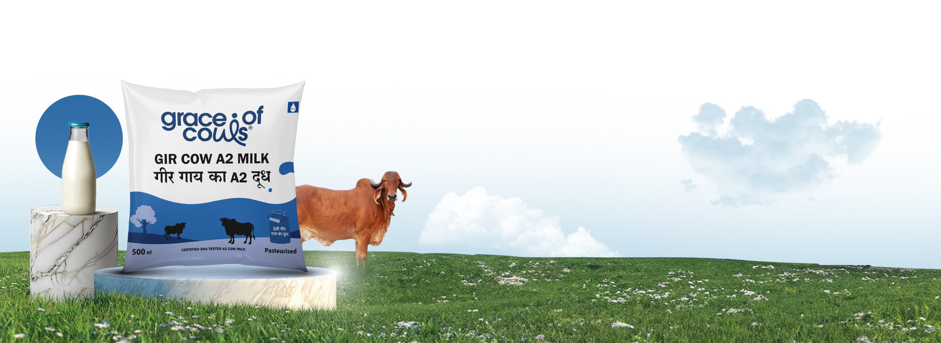 Grace of Cows - A2 Gir Cow Milk in Pune | Best A2 Milk in Pune